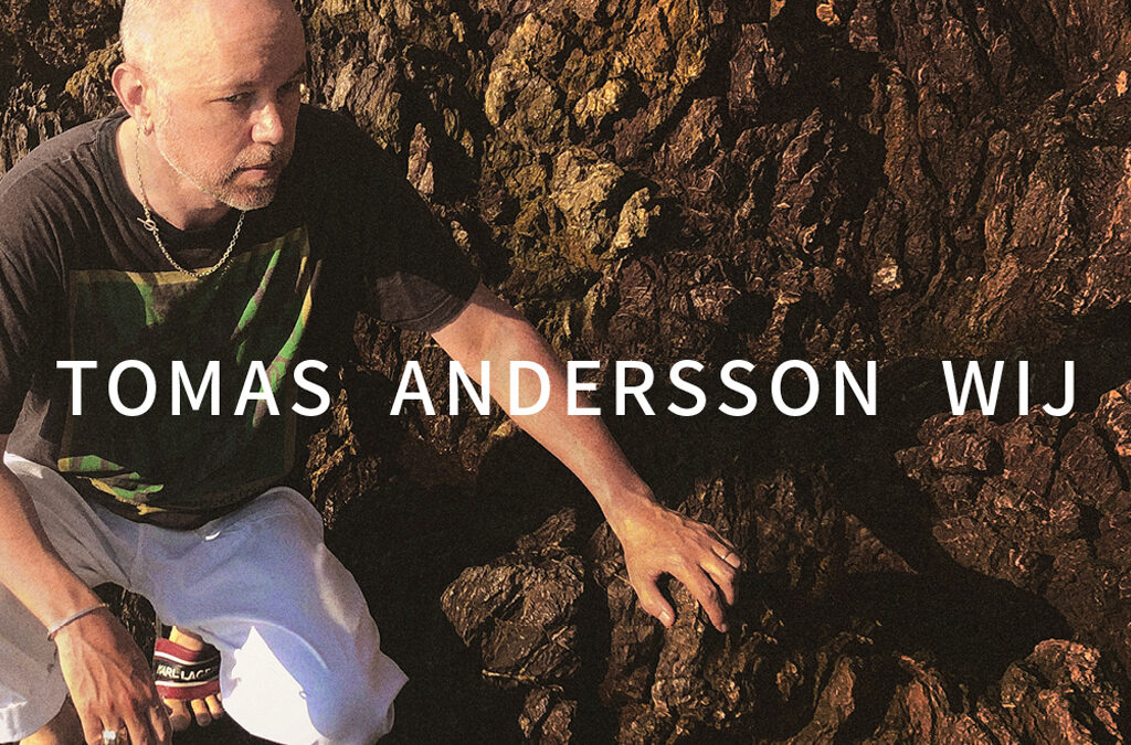 Tomas Andersson Wij